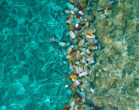 Депозит на тару и переработка: как решается проблема пластика в океане